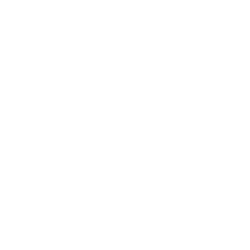 Custom Software Development icon