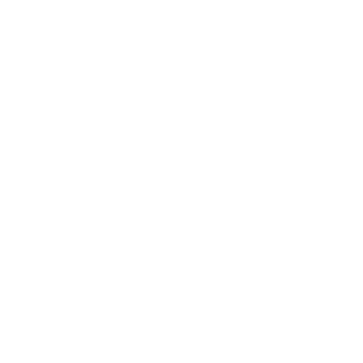 Web Application Development icon