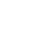 Decorative star icon